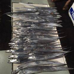 エムズジャーク（M’s JERK） 釣果