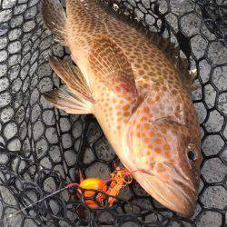 第二 海洋丸 釣果