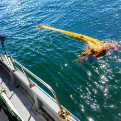 第二 海洋丸 釣果