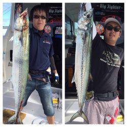 ビッグファイター 釣果