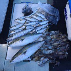 エムズジャーク(M’s JERK) 釣果