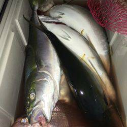 第二八坂丸 釣果