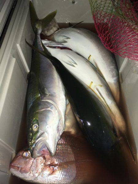 第二八坂丸 釣果