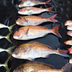 まるいち丸 ZERO-1 釣果