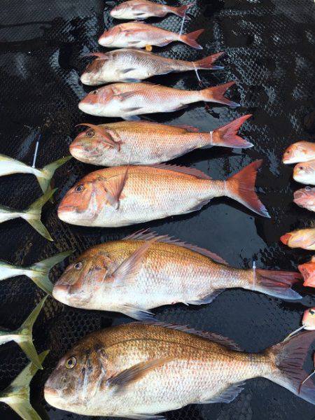 まるいち丸 ZERO-1 釣果