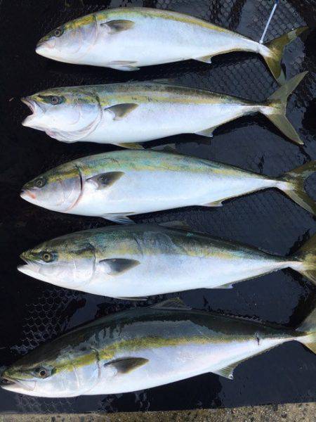 まるいち丸 ZERO-1 釣果