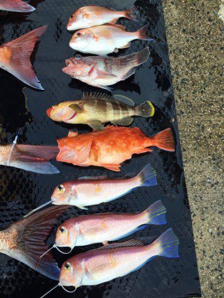 まるいち丸 ZERO-1 釣果