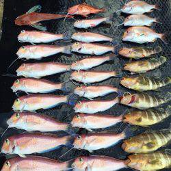 まるいち丸 ZERO-1 釣果