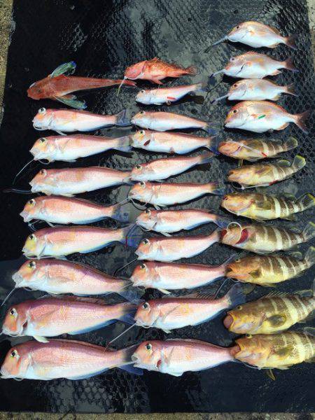 まるいち丸 ZERO-1 釣果