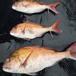 まるいち丸 ZERO-1 釣果