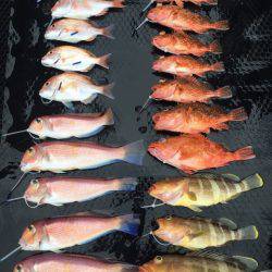 まるいち丸 ZERO-1 釣果