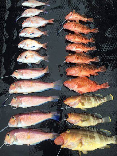 まるいち丸 ZERO-1 釣果