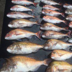 まるいち丸 ZERO-1 釣果