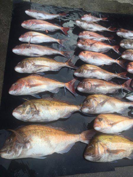 まるいち丸 ZERO-1 釣果