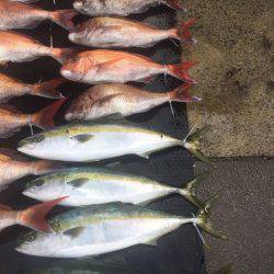 まるいち丸 ZERO-1 釣果