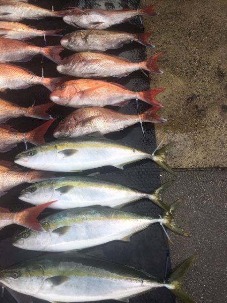 まるいち丸 ZERO-1 釣果