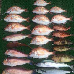 まるいち丸 ZERO-1 釣果