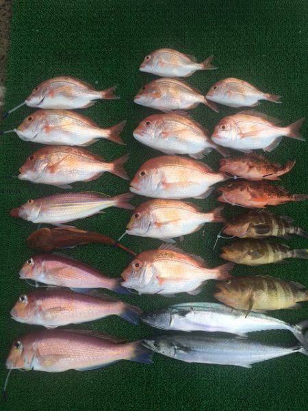 まるいち丸 ZERO-1 釣果