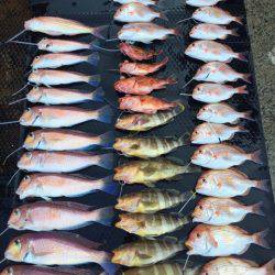 まるいち丸 ZERO-1 釣果