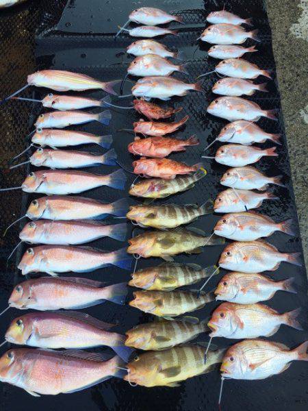 まるいち丸 ZERO-1 釣果