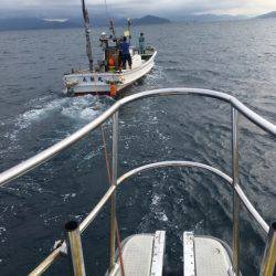 まるいち丸 ZERO-1 釣果