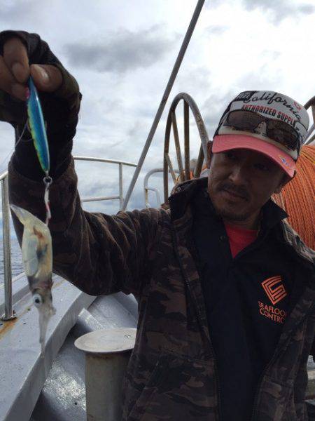 シーランチ 釣果