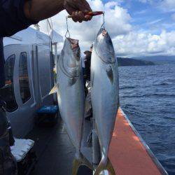 シーランチ 釣果