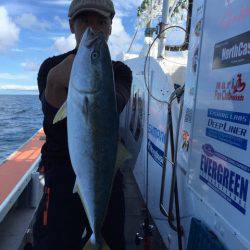 シーランチ 釣果