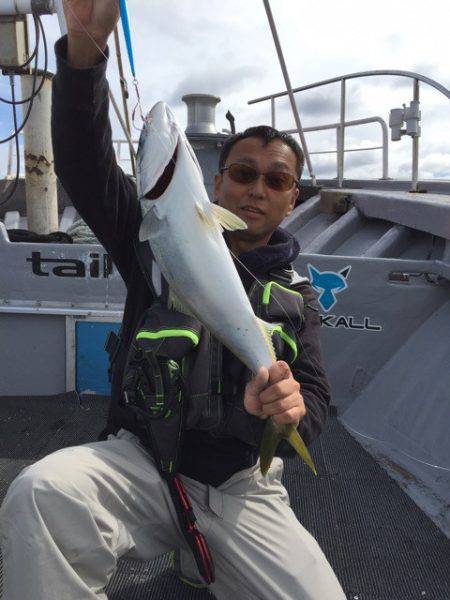 シーランチ 釣果