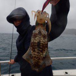 まるいち丸 ZERO-1 釣果