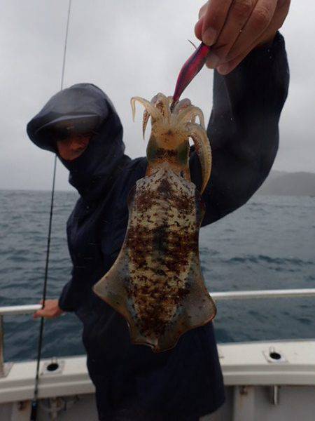 まるいち丸 ZERO-1 釣果