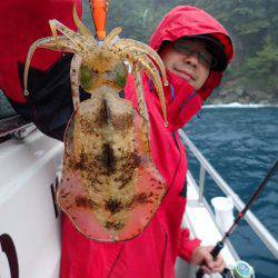 まるいち丸 ZERO-1 釣果