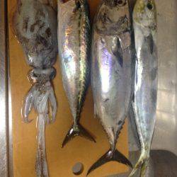 じゅん栄丸 釣果