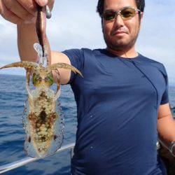 まるいち丸 ZERO-1 釣果