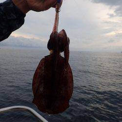 まるいち丸 ZERO-1 釣果