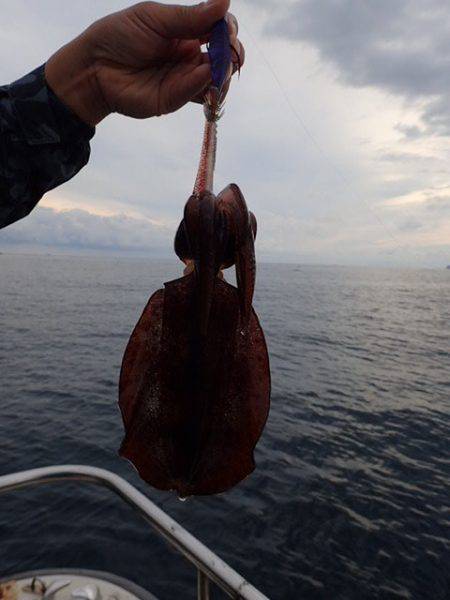 まるいち丸 ZERO-1 釣果