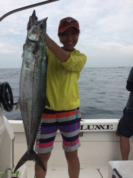 SeaRide(シーライド) 釣果