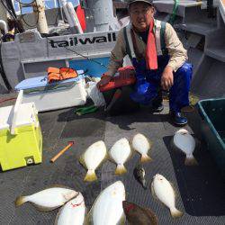 シーランチ 釣果