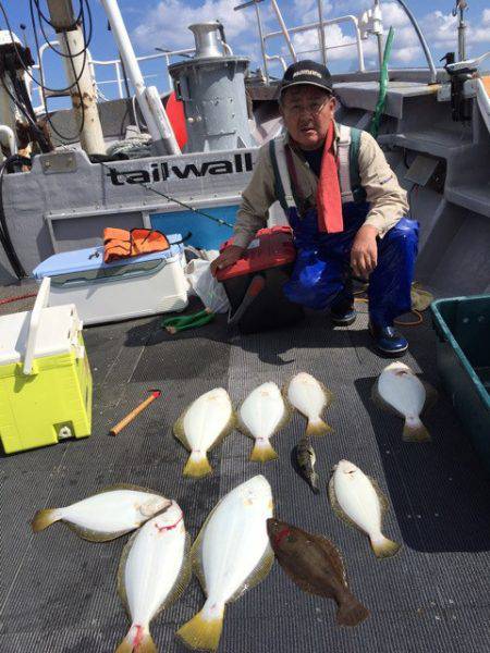 シーランチ 釣果