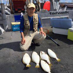 シーランチ 釣果