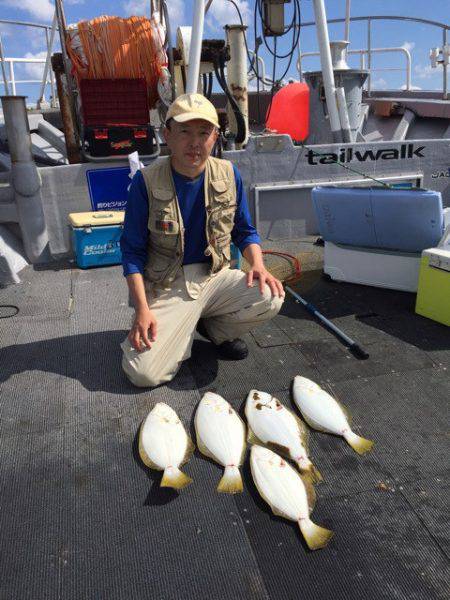 シーランチ 釣果