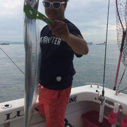 SeaRide(シーライド) 釣果