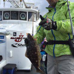 シーランチ 釣果