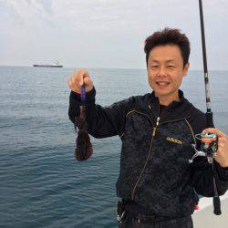 うさぎ丸 釣果