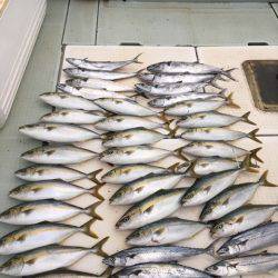 エムズジャーク（M’s JERK） 釣果