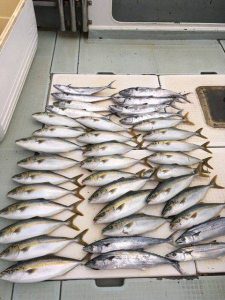 エムズジャーク（M's JERK…