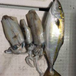 エムズジャーク(M’s JERK) 釣果