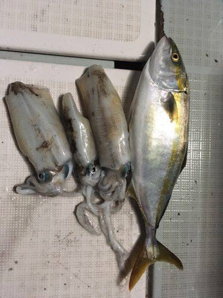 エムズジャーク（M's JERK…