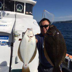 シーランチ 釣果