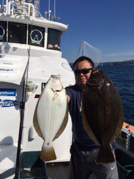 シーランチ 釣果